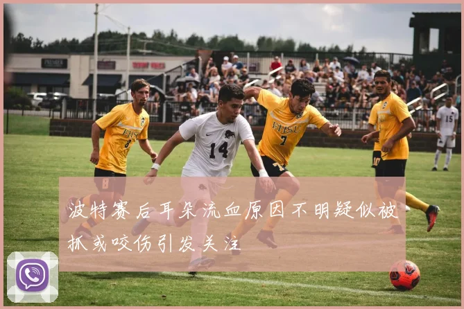 波特赛后耳朵流血原因不明疑似被抓或咬伤引发关注