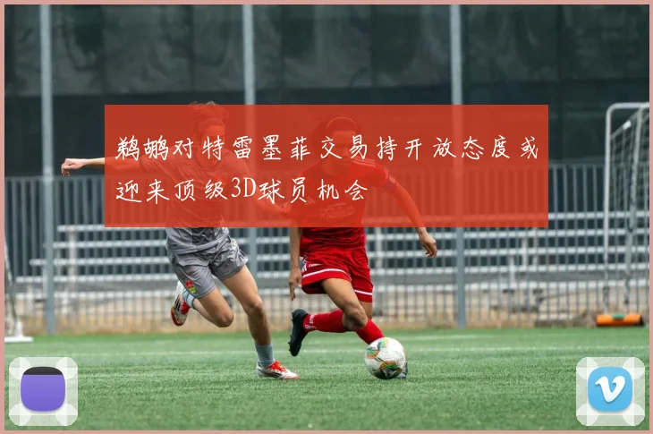 鹈鹕对特雷墨菲交易持开放态度或迎来顶级3D球员机会