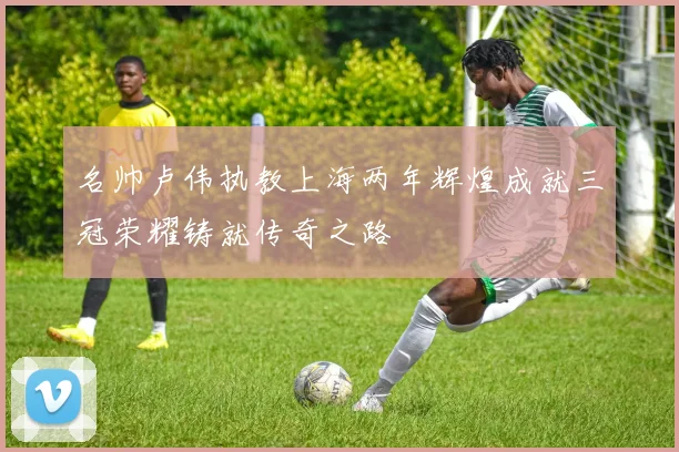 名帅卢伟执教上海两年辉煌成就三冠荣耀铸就传奇之路